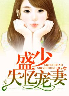 盛少宠妻成瘾目录